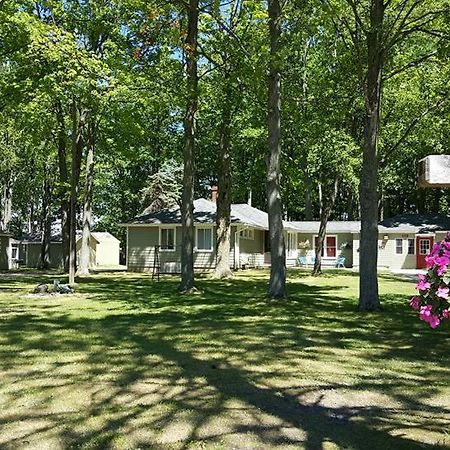 Hidden Haven Cottages Lake City Εξωτερικό φωτογραφία
